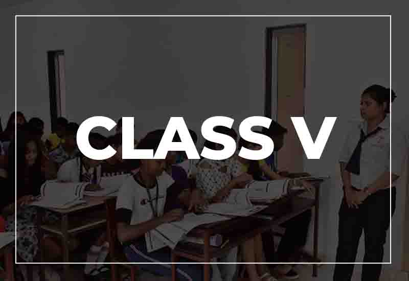 CLASS V